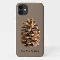 Pine Cone