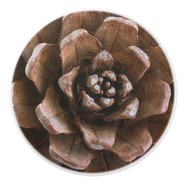 Pine cone ceramic knob (Front)
