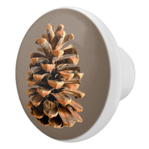 Pine Cone Ceramic Knob