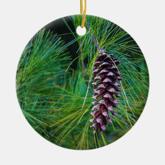 Pine Cone  Ceramic Tree Decoration (Front)