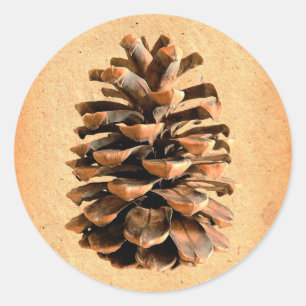 Pine Cone Classic Round Sticker