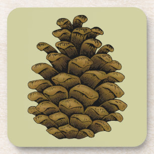 Pine cone Illustration Coaster