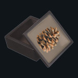 Pine Cone Jewellery Box<br><div class="desc">A digital rendering of a pine cone from Ma'alot-Tarshiha in northern Israel, the Galilee. The Aleppo Pine (Pinus halpensis), also known as the Jerusalem Pine is the only species of wild pine that grows in Israel. It is commonly accepted that the tree now called “pine” is the Biblical “oil tree”,...</div>