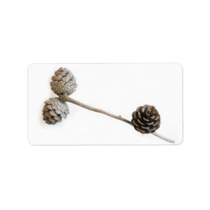 Pine cone label