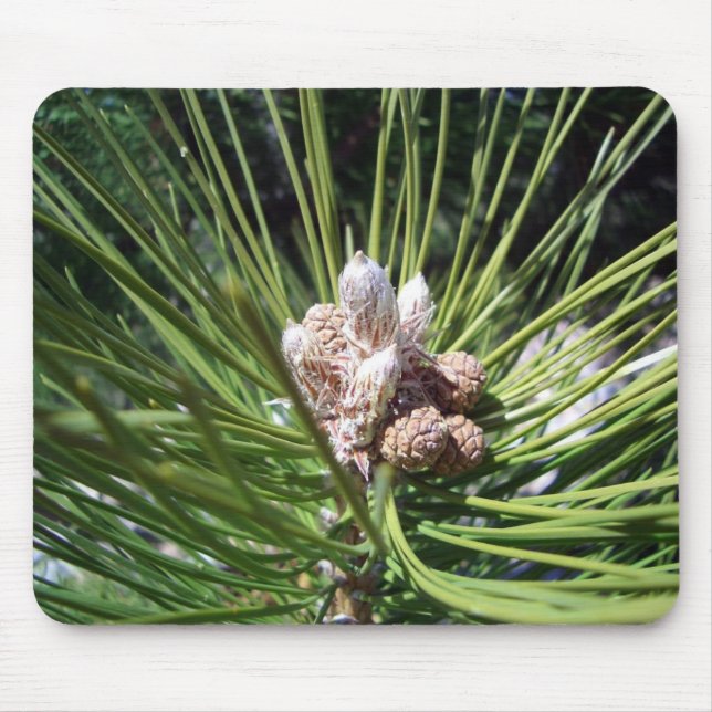 Pine Cone Nuts Mouse Mat (Front)