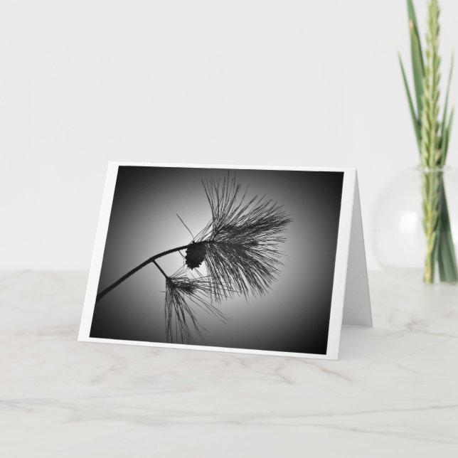 Pine Cone On Branch – Noir, card (Front)