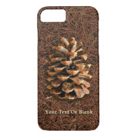 Pine Cone On Fallen Needles