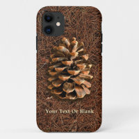 Pine Cone On Fallen Needles