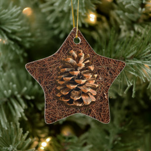 Pine Cone On Fallen Needles Ceramic Tree Decoration