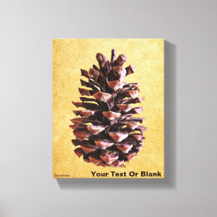 Pine Cone On Vintage Paper Canvas Print