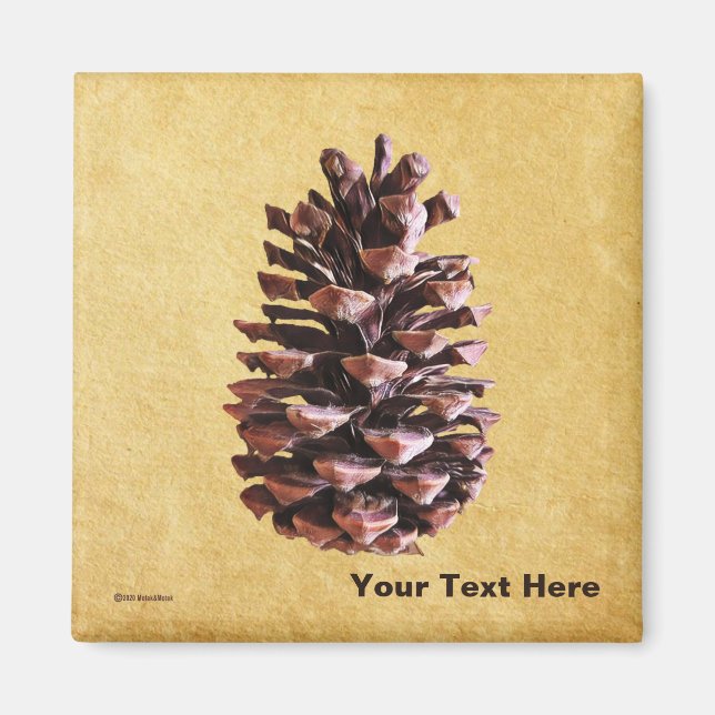 Pine Cone On Vintage Paper Magnet (Front)