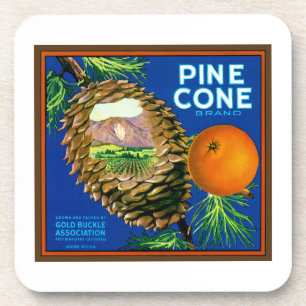 Pine Cone Oranges Coaster