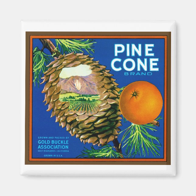 Pine Cone Oranges Magnet (Front)