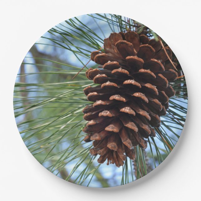 Pine Cone Paper Plate (Front)