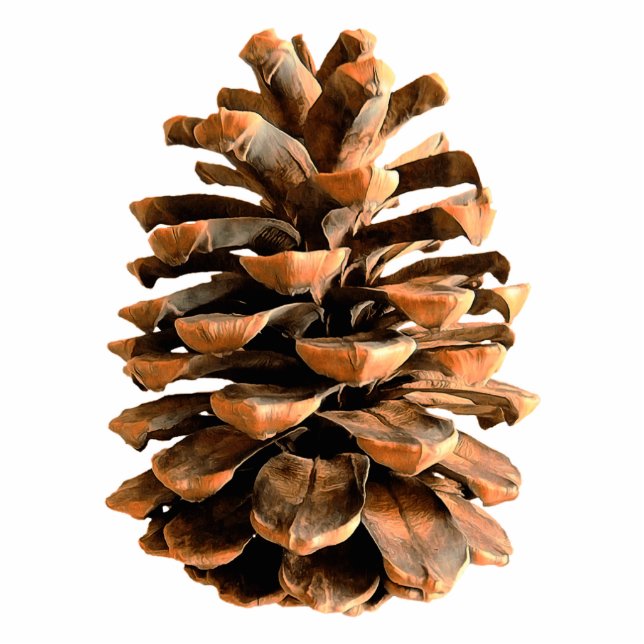 Pine Cone Photo Sculpture Magnet (Front)