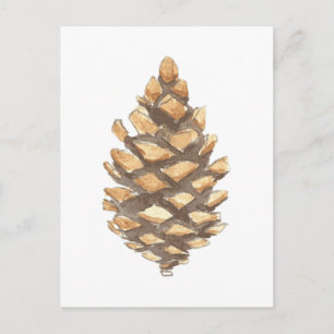 Pine Cone Postcard