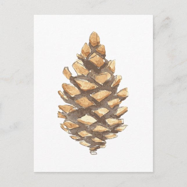 Pine Cone Postcard (Front)