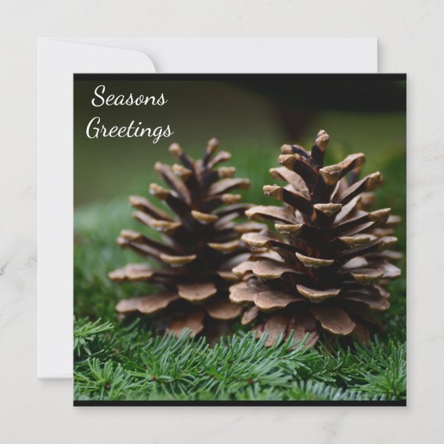 Pine Cone Seasons Greetings  Postcard (Front)