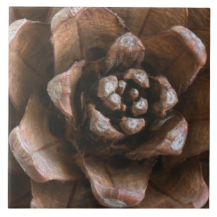 Pine cone tile
