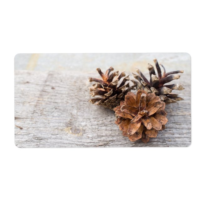 Pine cones (Front)