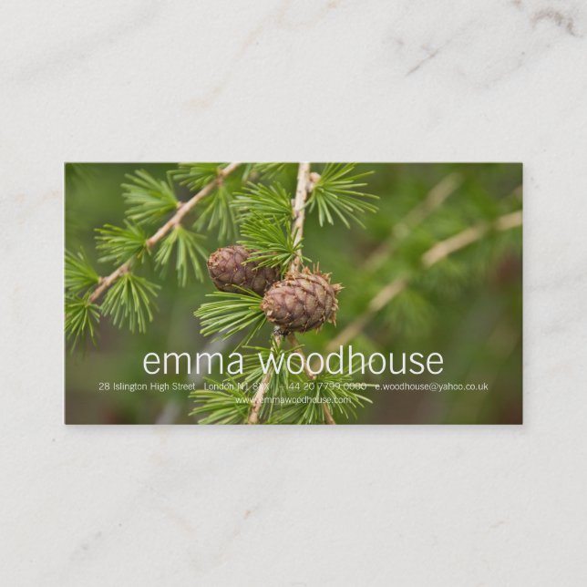 Pine Cones Business Card (Front)