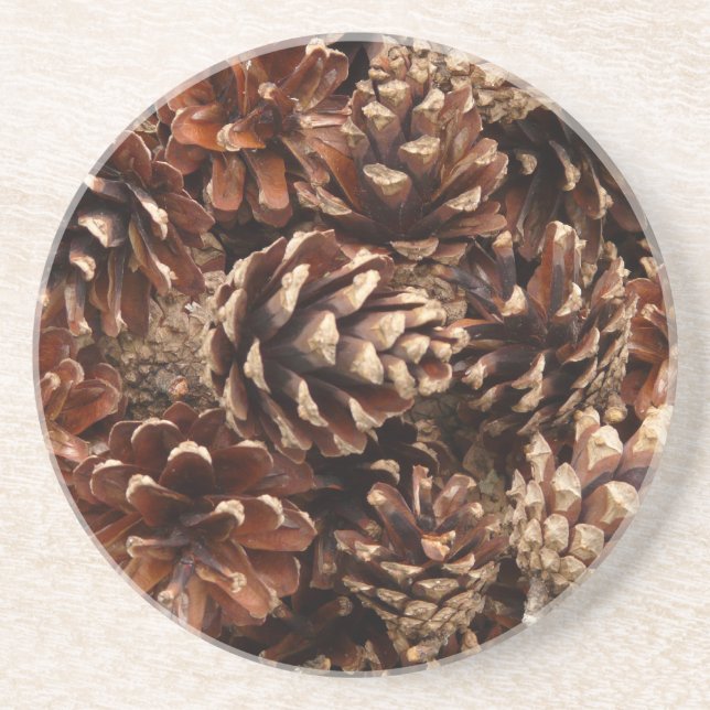 Pine Cones Coasters (Front)