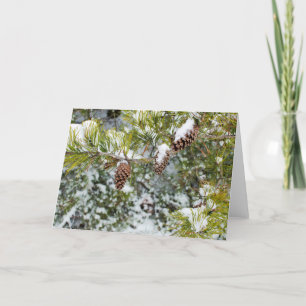 Pine Cones Holiday Card