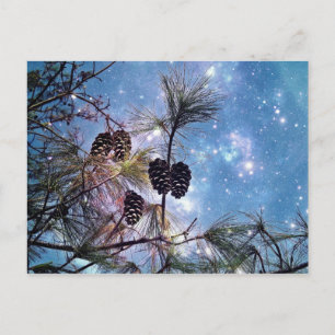 Pine cones in a tree under a starry night sky postcard