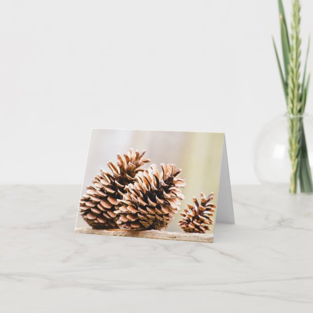 Pine Cones Note Card (Front)