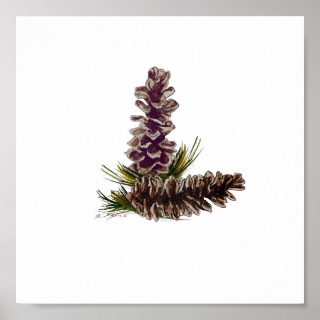 pine cones poster (Front)
