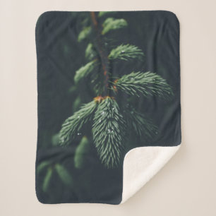 PINE CONES SHERPA BLANKET