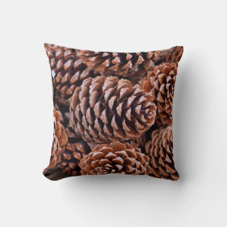 Pine cones winter chocolate holiday cushion
