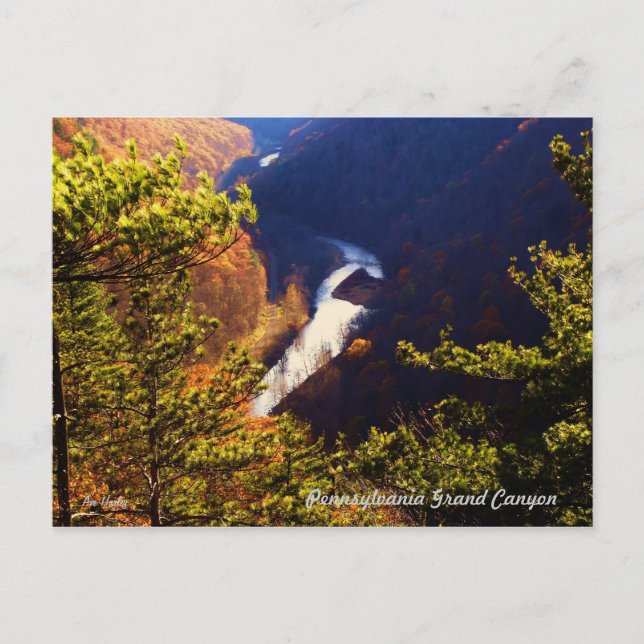 Pine Creek Gorge Overlook at the Pa Grand Canyon Postcard (Front)