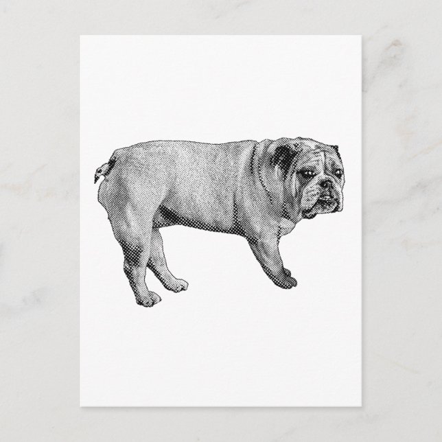 Pine-Edge Postcard (Front)