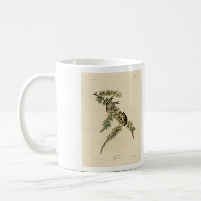 Pine Finch (Pine Siskin), Audubon Birds of America Coffee Mug (Left)