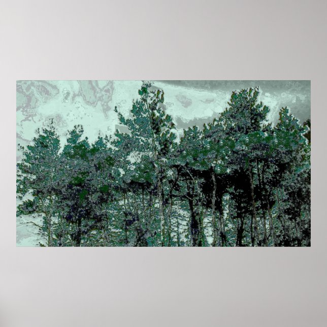 Pine For Tomorrow Poster (Front)