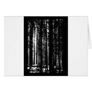 pine forest