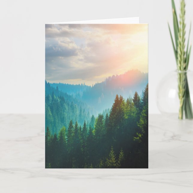 Pine Forest in the Dolomites, Italy Card (Front)