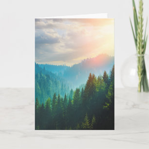 Pine Forest in the Dolomites, Italy Card