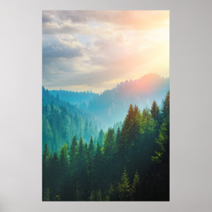 Pine Forest in the Dolomites, Italy Poster