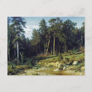 Pine Forest in Viatka Province Postcard