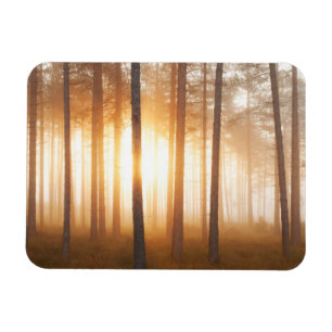 Pine Forest Landscape Magnet