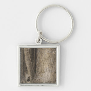 Pine Forest, Oregon Key Ring