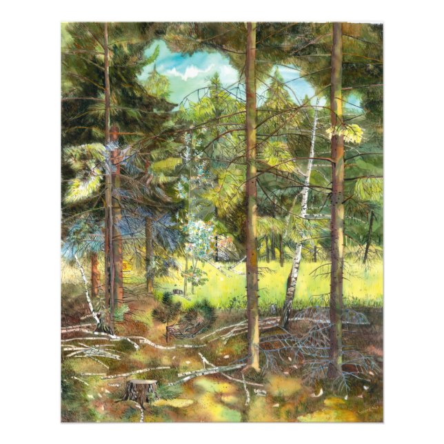 Pine forest photo print (Front)