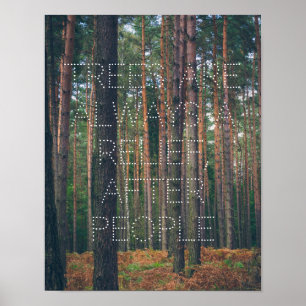 Pine forest poster