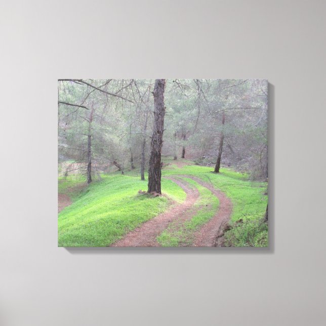 Pine Forest Road Canvas Print (Front)