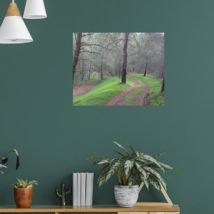 Pine Forest Road Poster