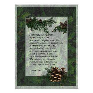 Pine Forest Trees Poster Print