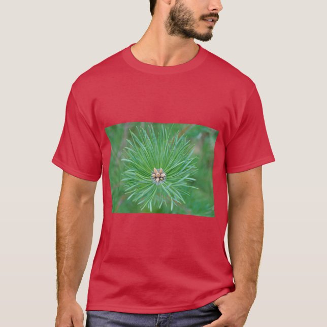 Pine Forest Vibes  – Calm, Natural and Refr T-Shirt (Front)