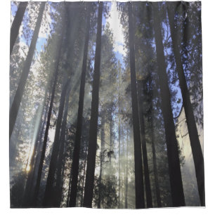 Pine Forest With Sunshine Nature Shower Curtain